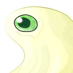 Slime flavum