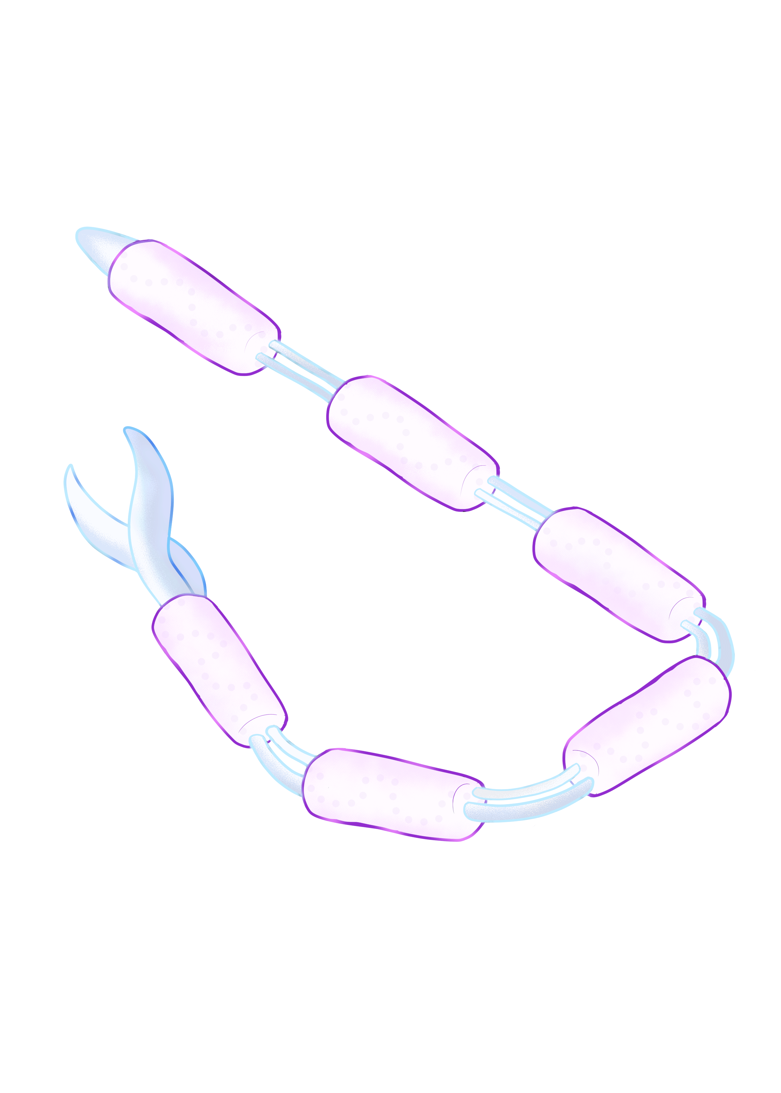 Gigantofilum pelagicum