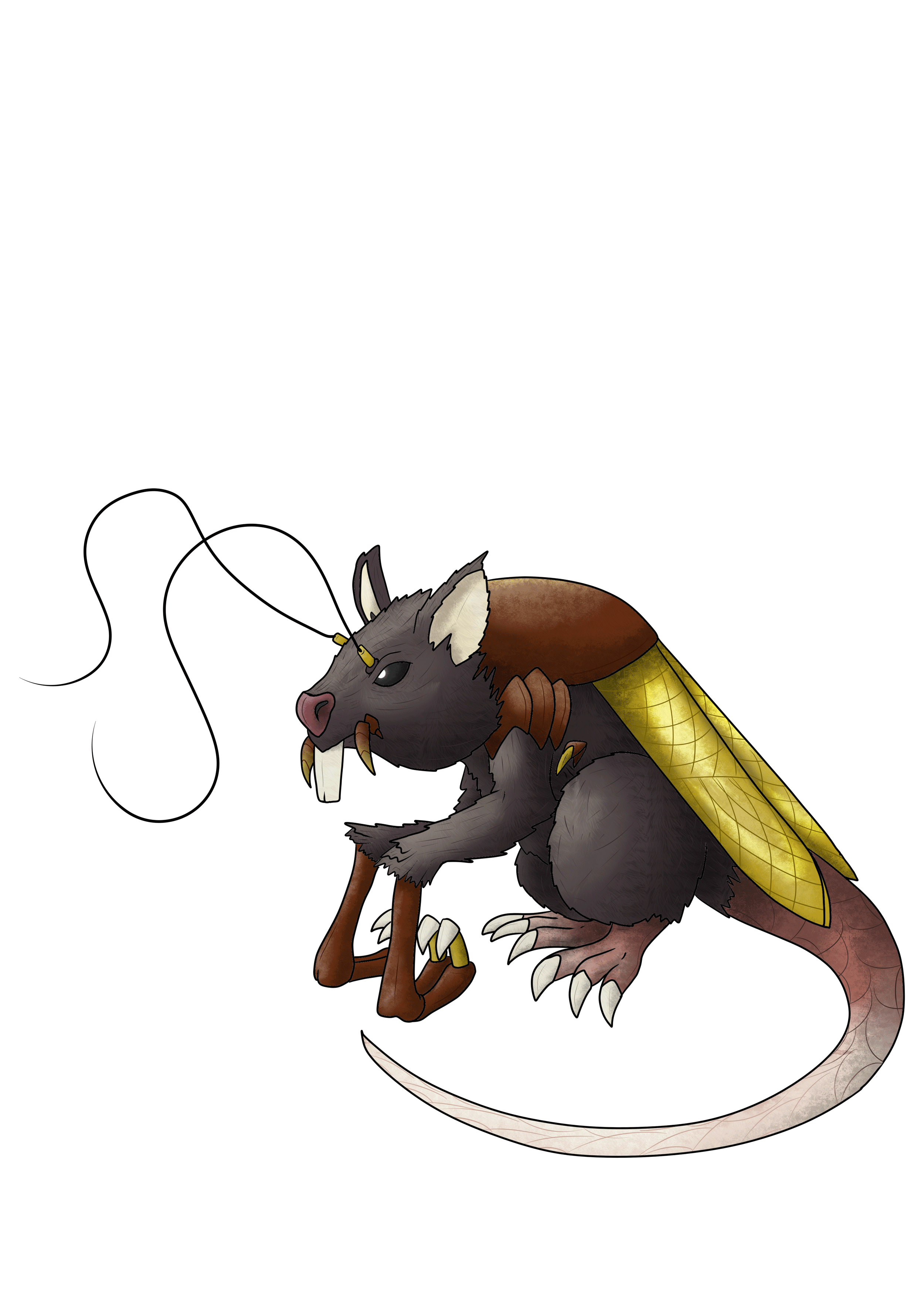 Blatella Rattus