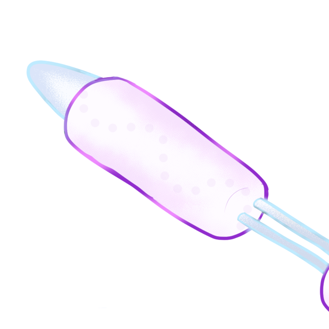 Gigantofilum pelagicum